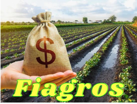 Figura Ilustrativa dos Fiagros, fundos de Investimento do agronegócio na Bolsa de Valores